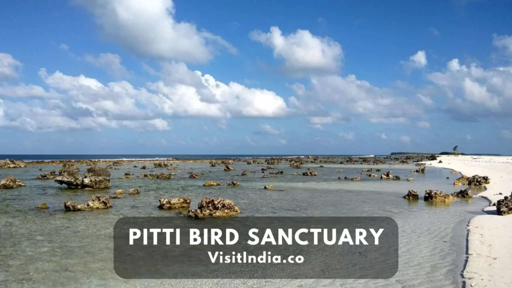 Pitti Bird Sanctuary Lakshadweep