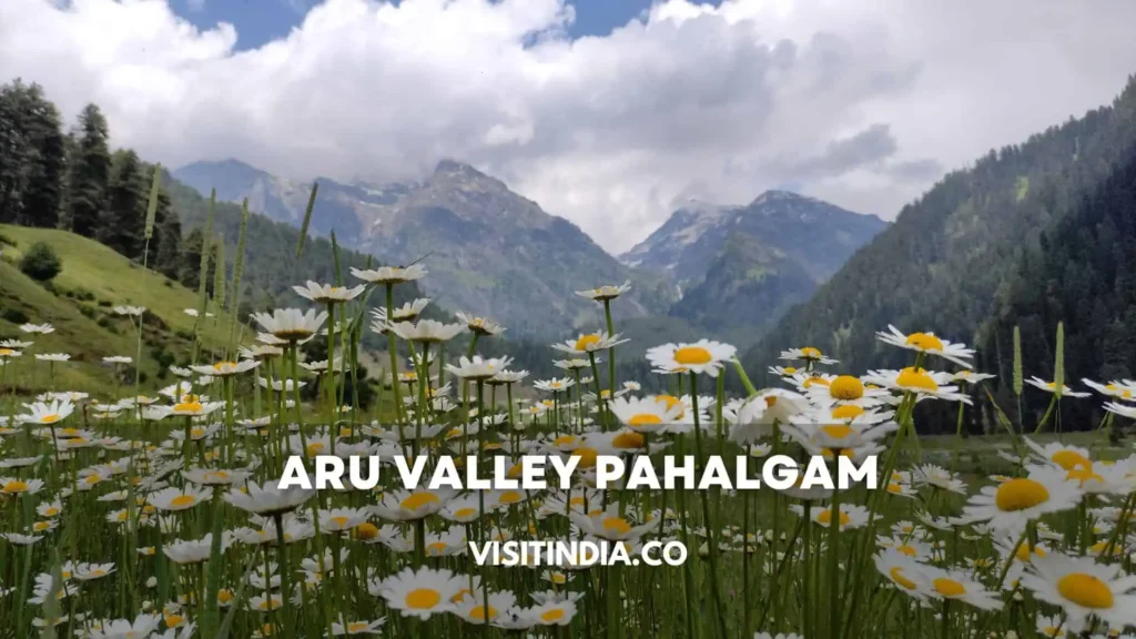 Aru Valley Pahalgam