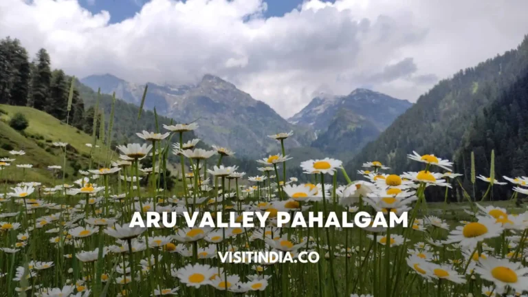 Exploring Aru Valley: Timings, Entry Fee, Things to Do, Distance