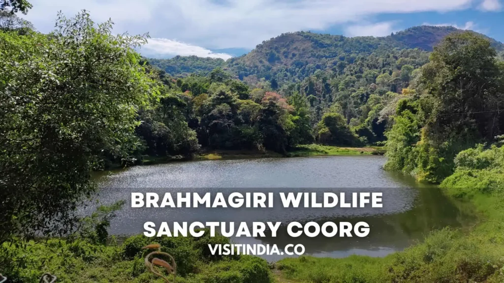 Brahmagiri Wildlife Sanctuary