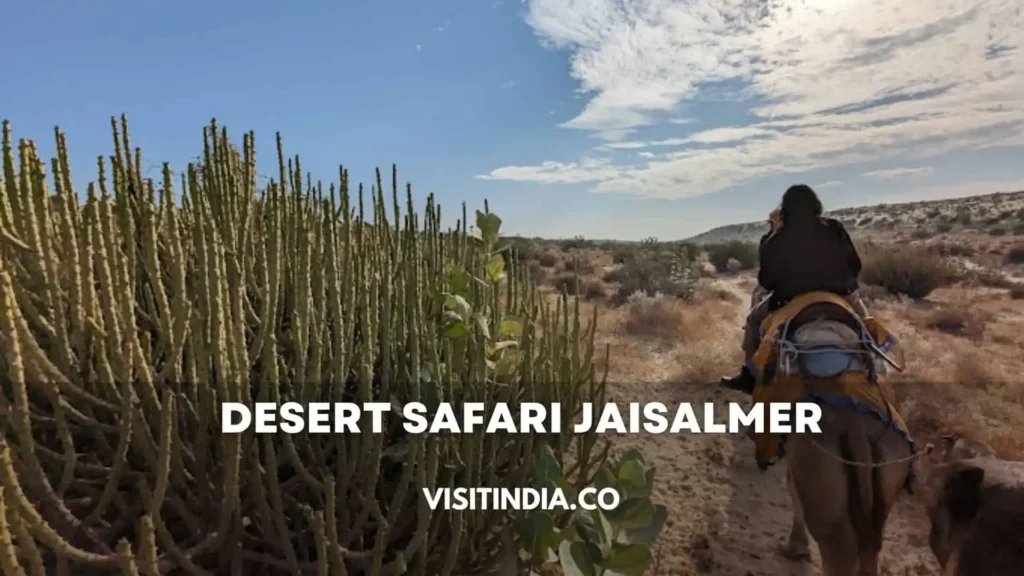 Desert Safari Jaisalmer