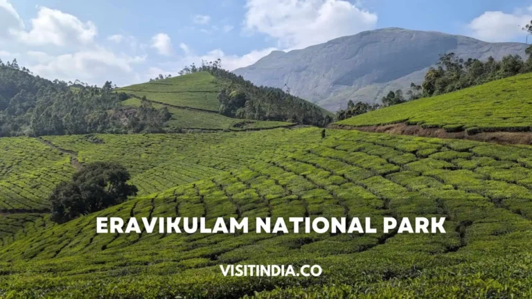 Eravikulam National Park Timings, Entry Fee, Tickets, Price and Nearby Attractions