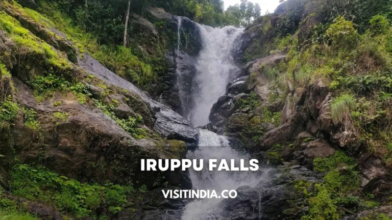 Iruppu Falls Coorg Timings, Entry Fee, Trek, How to Reach, Best Time to Visit