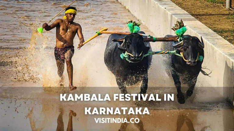 Kambala Festival in Karnataka, History, Types, Schedule for 2024