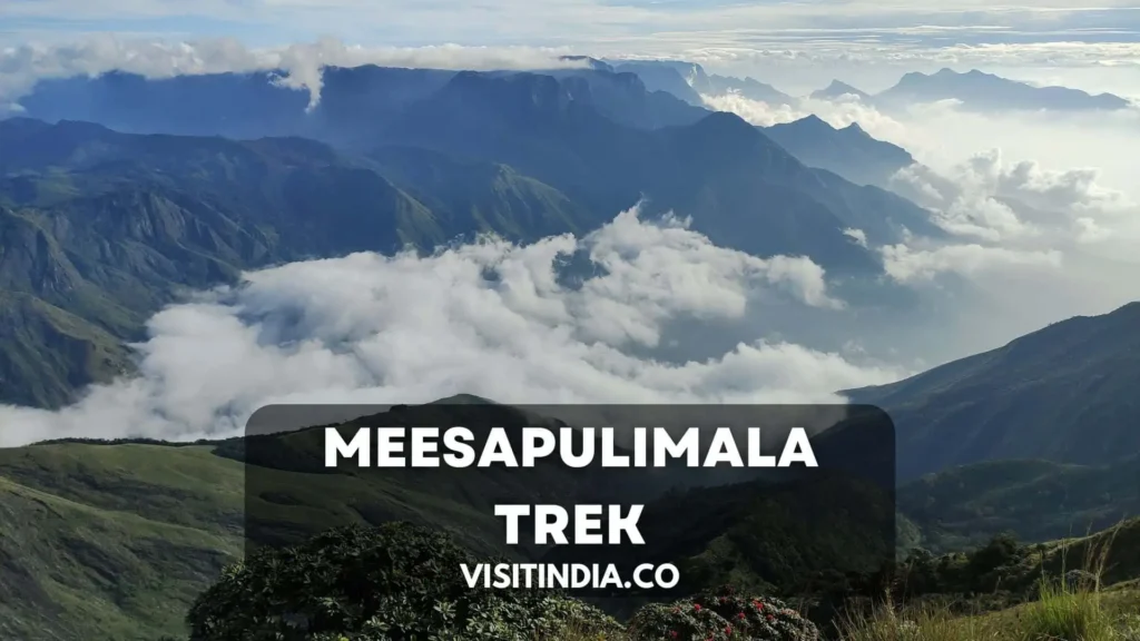 Meesapulimala Trek Munnar Kerala, Distance, Difficulty, Camping, Price