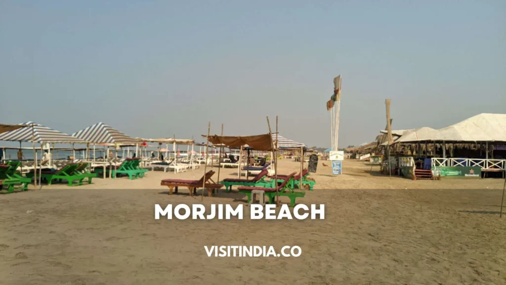 Best Places to Visit in Goa - Morjim Beach