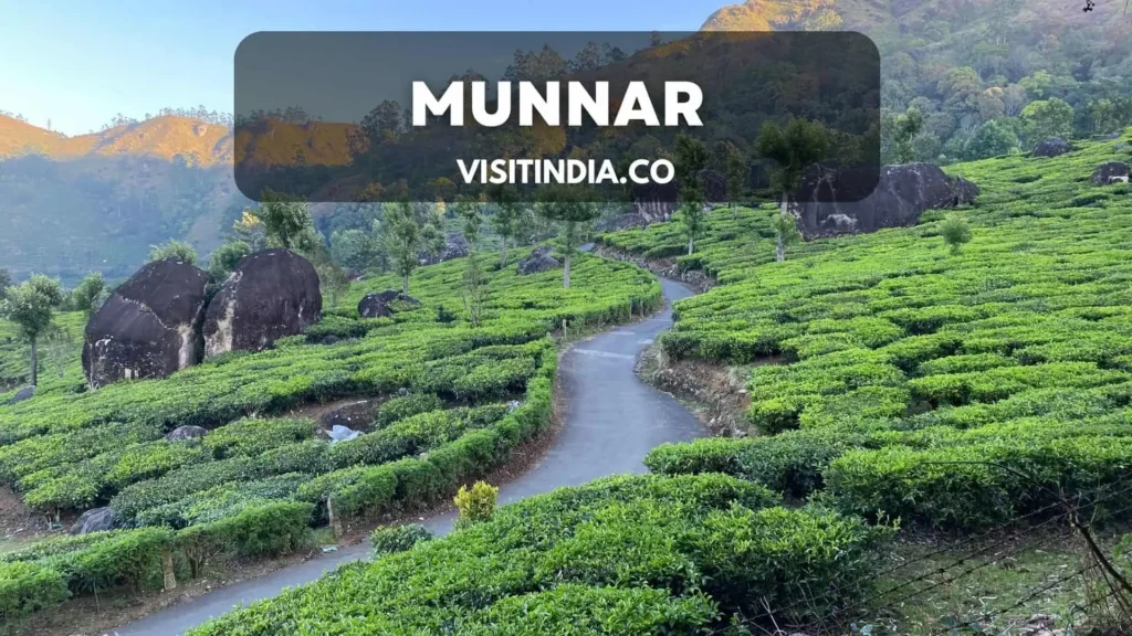Best Places to Visit in Kerala - Munnar