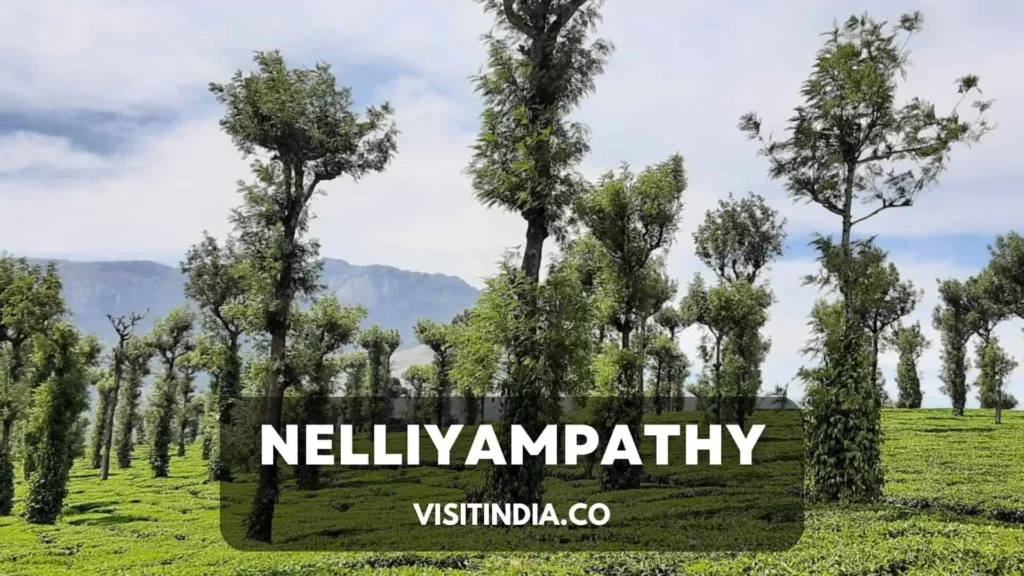 Best Places to Visit in Kerala - Nelliyampathy