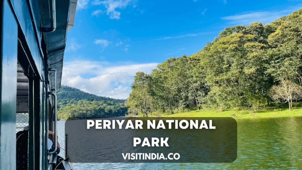 Best Places to Visit in Kerala - Periyar National Park