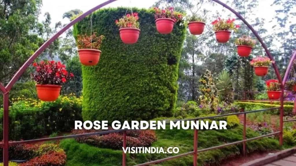 Rose Garden Munnar Timings, Entry Fee, and Nearby Attractions
