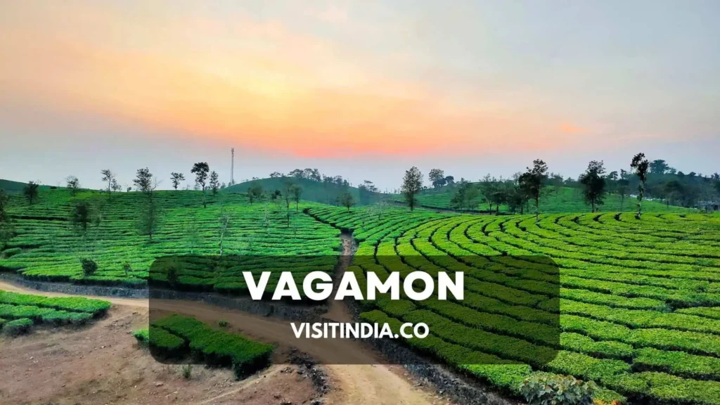Best Places to Visit in Kerala - Vagamon