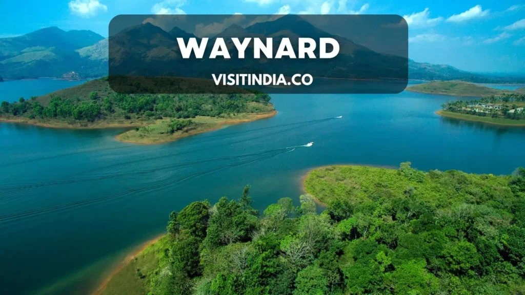 Best Places to Visit in Kerala - Waynard