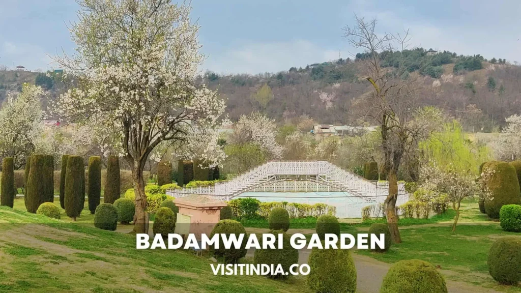 Badamwari Garden Srinagar